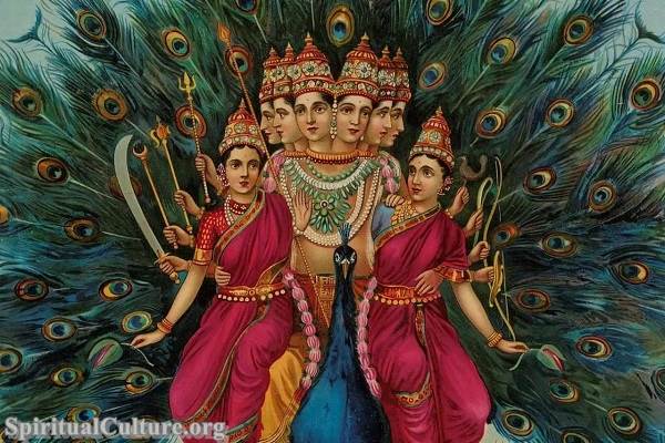 Kartikeya God in Hinduism: A Divine Symbol of Valor and Wisdom