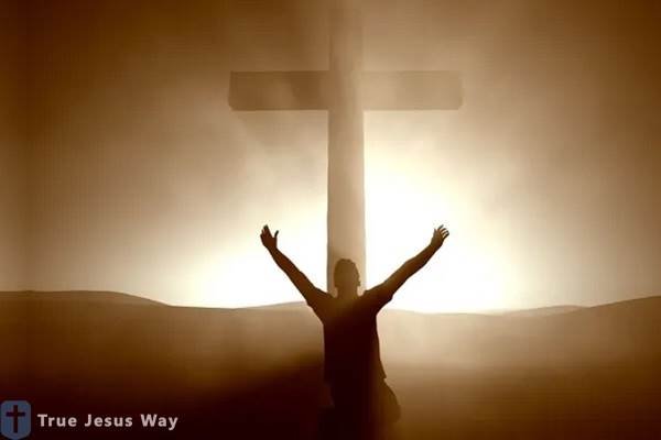 What Does It Mean to Be Saved? What Does It Mean to Be Saved?