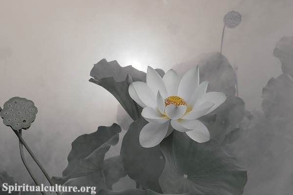 The Lotus Sutra &#8211; The Saddharma Pundarika Sutra