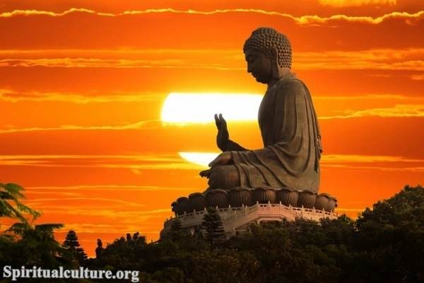 Who are the Buddhas in Buddhism?