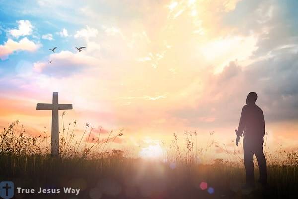 What Is God’s Will for My Life?